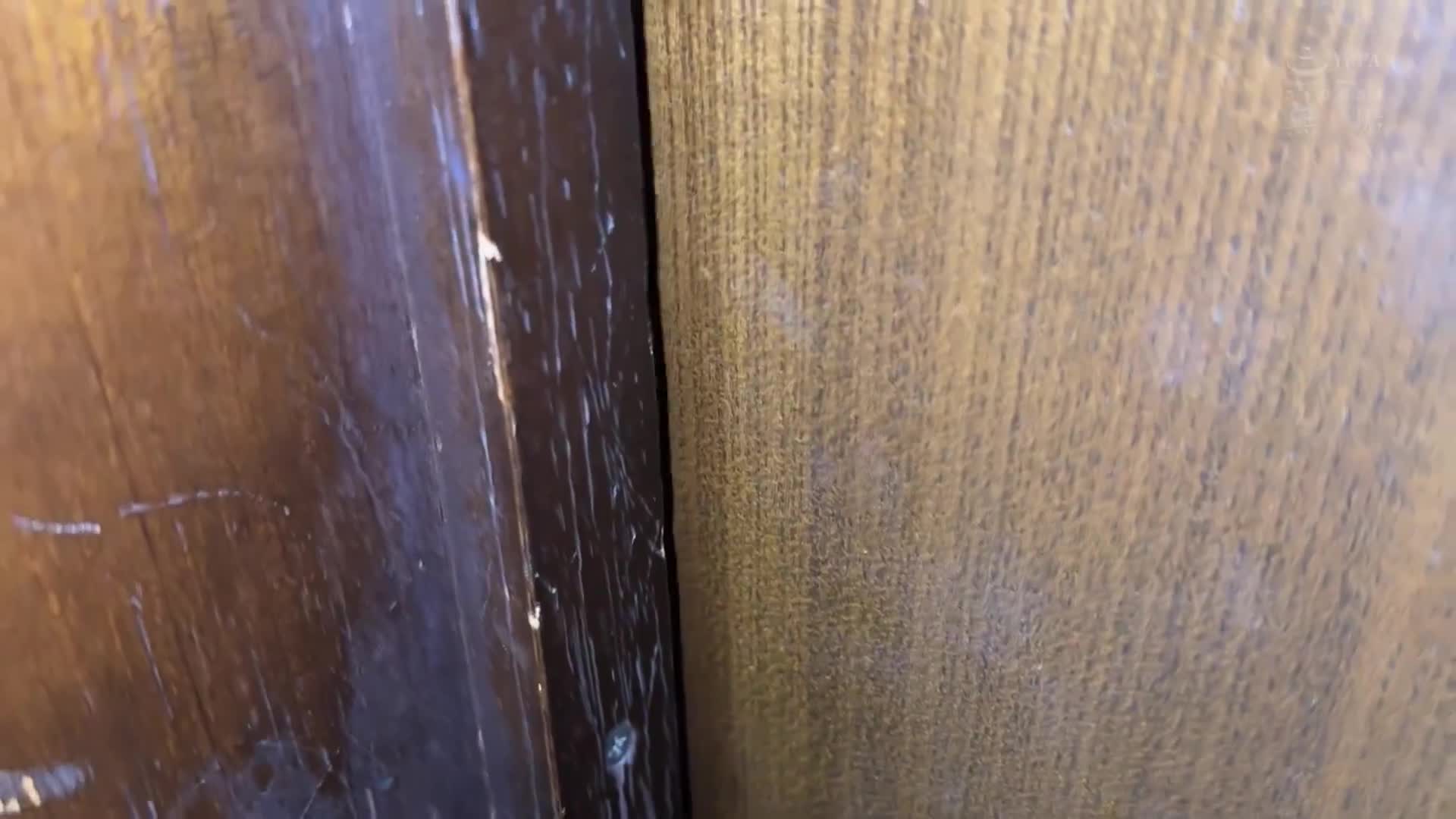 [AI解碼版]制服巨乳的妹妹最近超危險！ 對晨勃雞雞上癮，自己亂吃精子的淫亂發情妹妹，每天早上全被榨乾了。有馬美玖 - AV大平台 - 中文字幕，成人影片，AV，國產，線上看